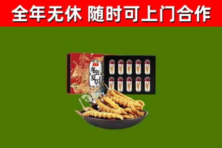 繁峙回收冬虫夏草价格